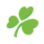AER LINGUS